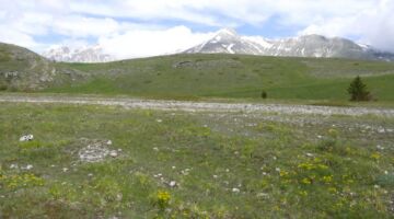 Canyon dello Scoppaturo