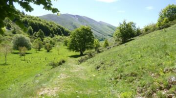 Wanderung Monte Godi