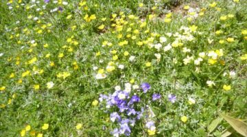 Wanderung Monte Godi