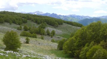 Wanderung Monte Godi