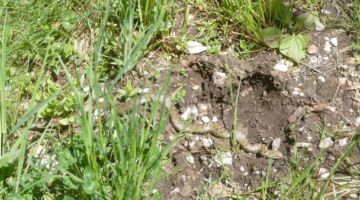 Wanderung Monte Tino