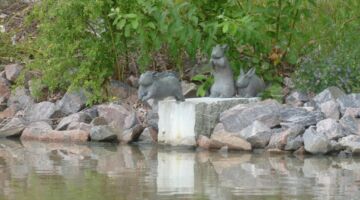 Söderköping Rabbit Crossing