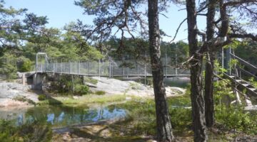 Naturreservat Stendörrens