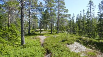 NP Skuleskoge Nylandsruten