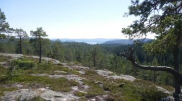 NP Skuleskoge Långtjärnhällorna