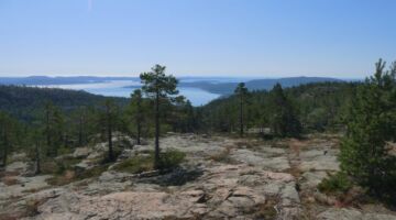 Skuleskoge Slattdalen