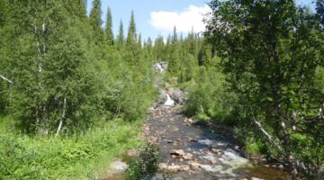 Naturschutzgebiet Bjurälven