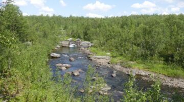 Klimpfjäll 7-forsar