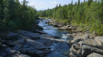 Marsfjällens Naturreservat