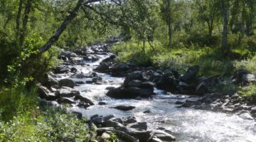 Marsfjällens Naturreservat