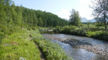 Marsfjällens Naturreservat