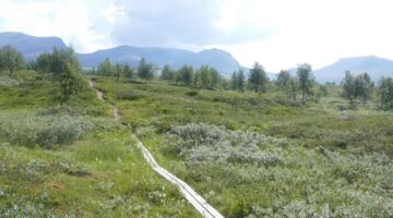 Marsfjällens Naturreservat