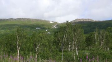 ein Wasserfall unterwegs