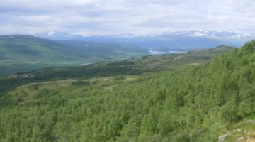 Laisaliden Wanderung