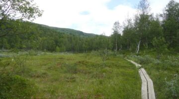 Laisaliden Wanderung