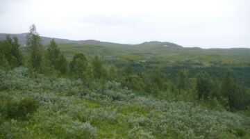 Syterbäcken Rundweg