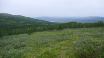 Syterbäcken Rundweg