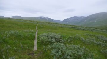 Syterbäcken Rundweg