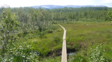 Litlverivassforsen-Wanderung