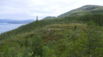 Wanderung zum Nepsteinen