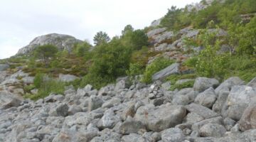 Vega Küstenwanderung