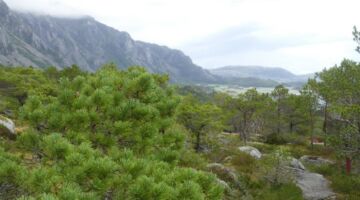 Vega Küstenwanderung