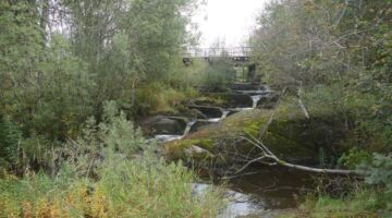 Årjäng Silbodalsälven