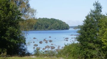 Kulturreservat Linnés Råshult