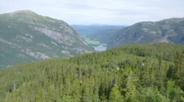 Seljord Wanderung Bjørgefjell
