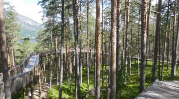 Fyresdal Hamaren Tretoppvegen