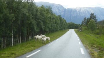 Fahrt nach Songesand