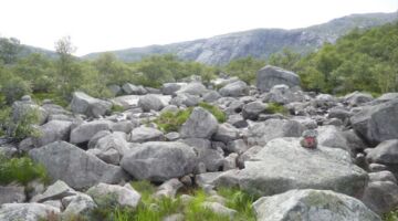 Wanderung Fløritreppe