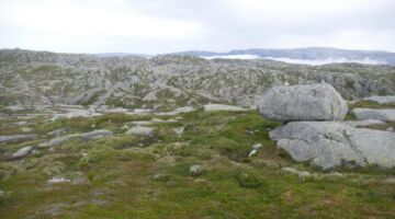 Lysevegen