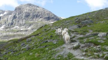 Wanderung auf den Kista