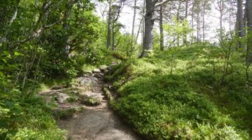 Wanderung Fossastien