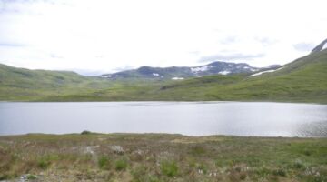 Vikafjellsvegen