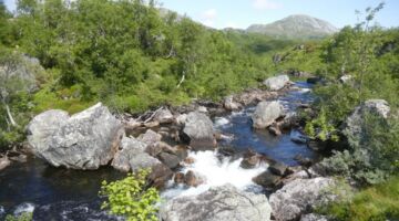 Wanderung Longestølen_Torsnesstølen