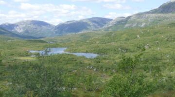 Wanderung Longestølen_Torsnesstølen