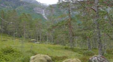 Wanderung Langestølen-Eldal