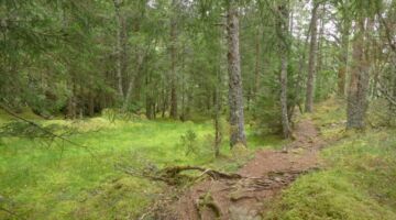 Wanderung Langestølen-Eldal
