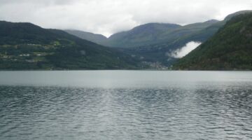 Stryn