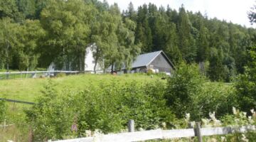 Wanderung Königsweg Vrådal