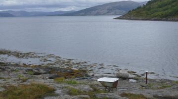 Vennesund Skulptur „Hai – Kuh – Badewanne“
