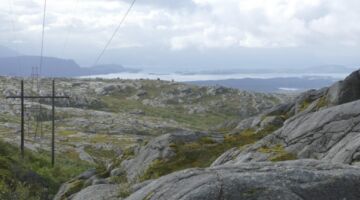 Alsten Wanderung Storrunden