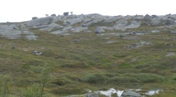 Alsten Wanderung Storrunden