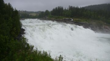 Laksforsen