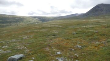 Wanderung Allmannberget