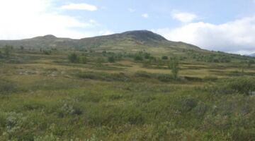 Kongsvegen ab Grønbakken