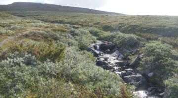 Wanderung Syndre Knutshøa