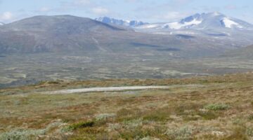 Wanderung Syndre Knutshøa Snøhetta